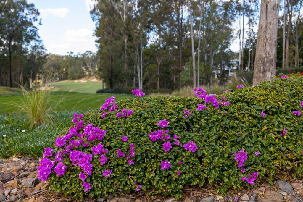 TW Horticultural Services | 400 Postmans Track, Minden QLD 4311, Australia | Phone: 0450 314 436