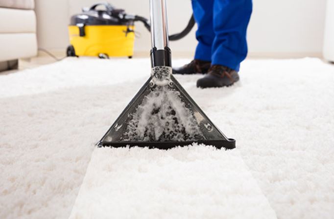 Ipswich City Carpet Cleaners | 8 Paisley Pl, Spring Mountain QLD 4300, Australia | Phone: (07) 3667 8018