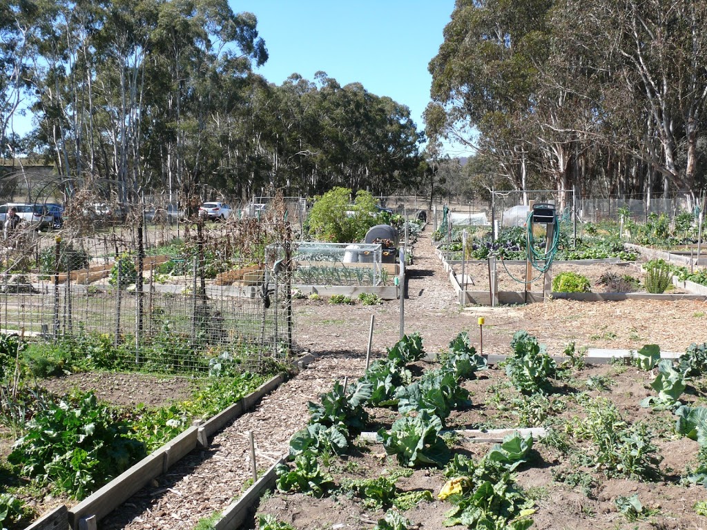 COGS Mitchell Community Garden | Mitchell ACT 2911, Australia