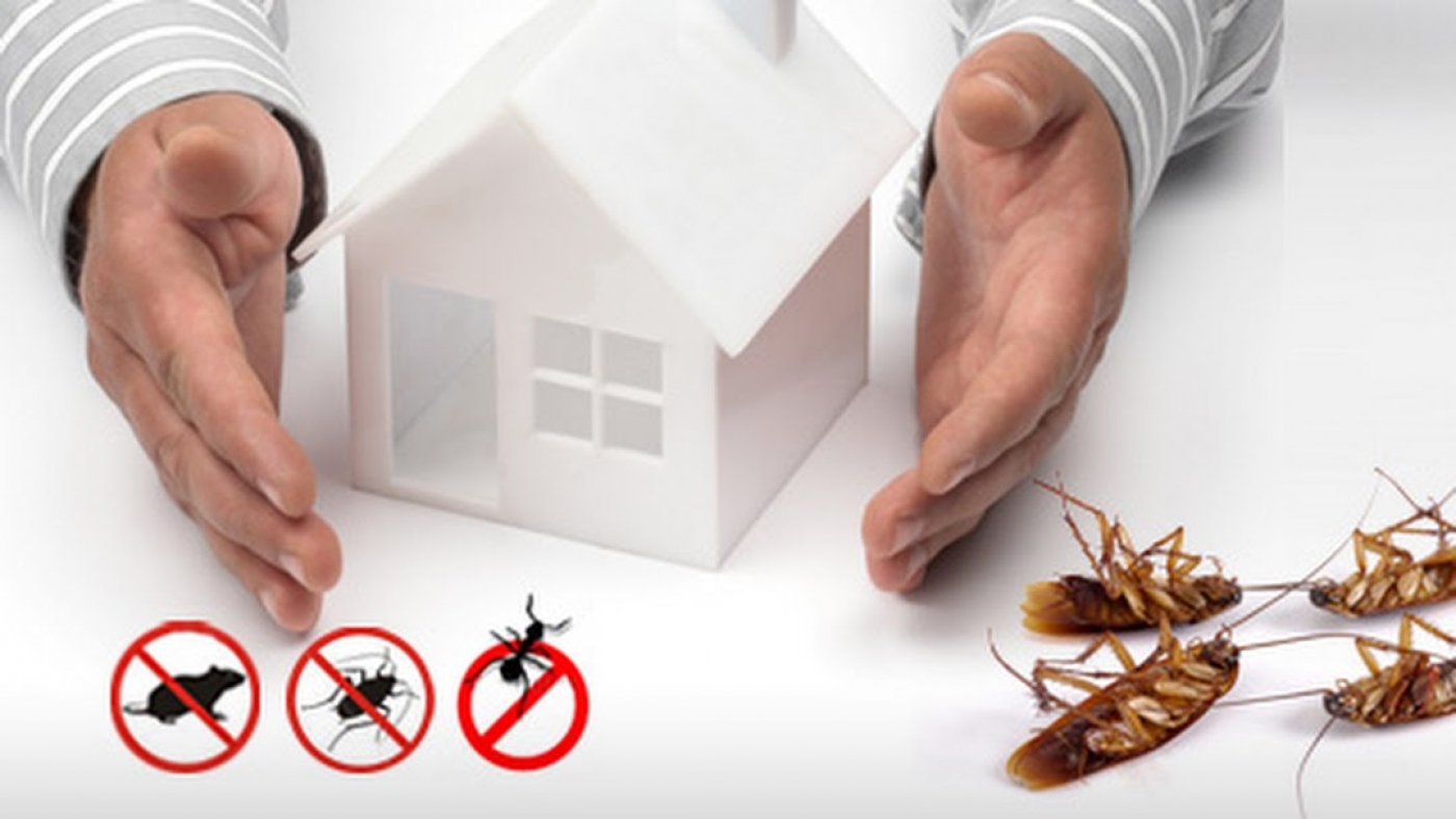 Pest Control Bayswater | home goods store | Bayswater, WA 6053, Australia | 0870794617 OR +61 8 7079 4617