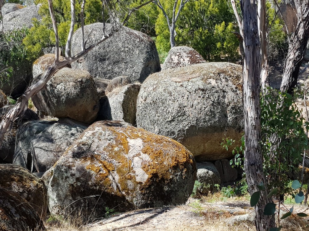 Dergholm State Park | Victoria 3312, Australia