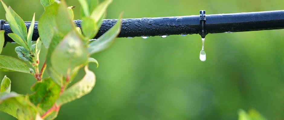 Southern Water Co. | 35-37 Bolong Rd, Bomaderry NSW 2541, Australia | Phone: (02) 4423 2840