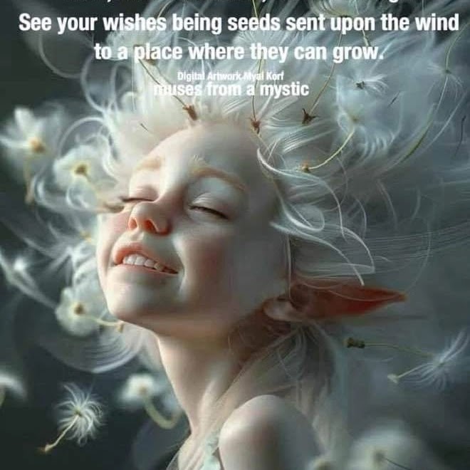 Intuitive Energy Healer with Robyn | N Head Rd, New Brighton NSW 2483, Australia | Phone: 0423 316 816