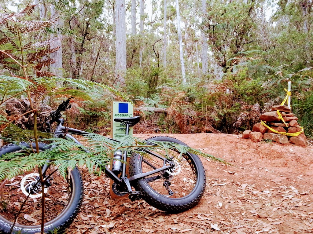 hollywood mtb park | Hollybank Rd, Underwood TAS 7268, Australia