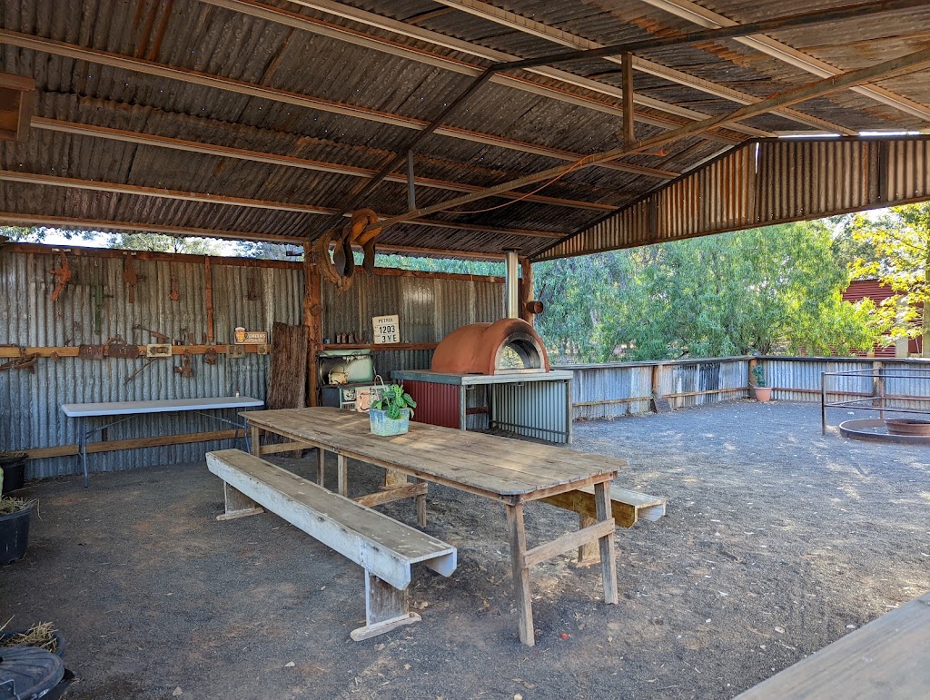 The Red Lizard Camping Ground | 30827 Mitchell Hwy, Charleville QLD 4470, Australia | Phone: 0428 928 867