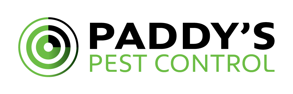 Paddys Pest Control | home goods store | 10 Merino St, Bracken Ridge QLD 4017, Australia | 0403388697 OR +61 403 388 697