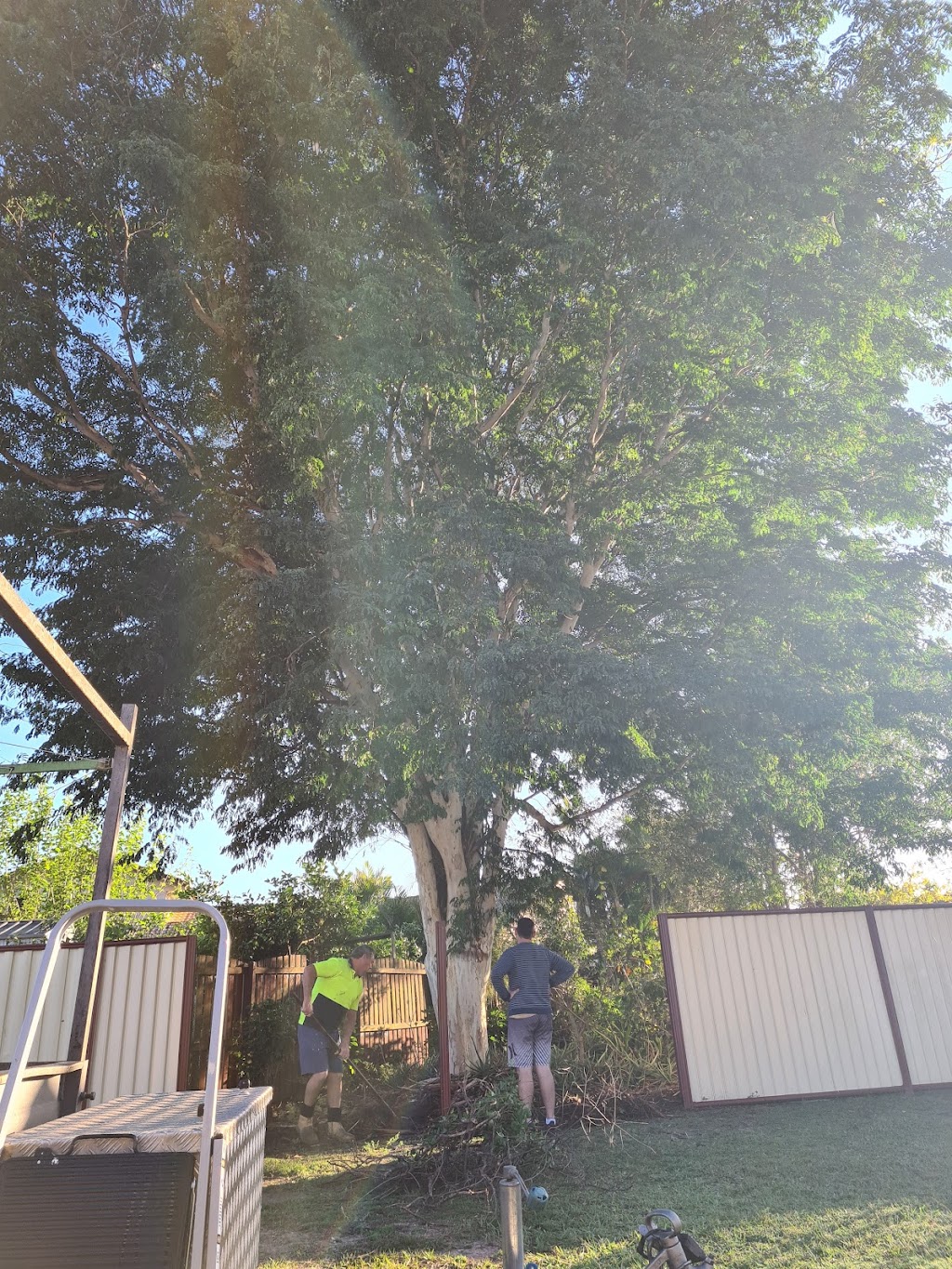 Darryl Lloyd Tree Lopping | general contractor | 102-104 Johnston St, Bellbird Park QLD 4300, Australia | 0415642767 OR +61 415 642 767