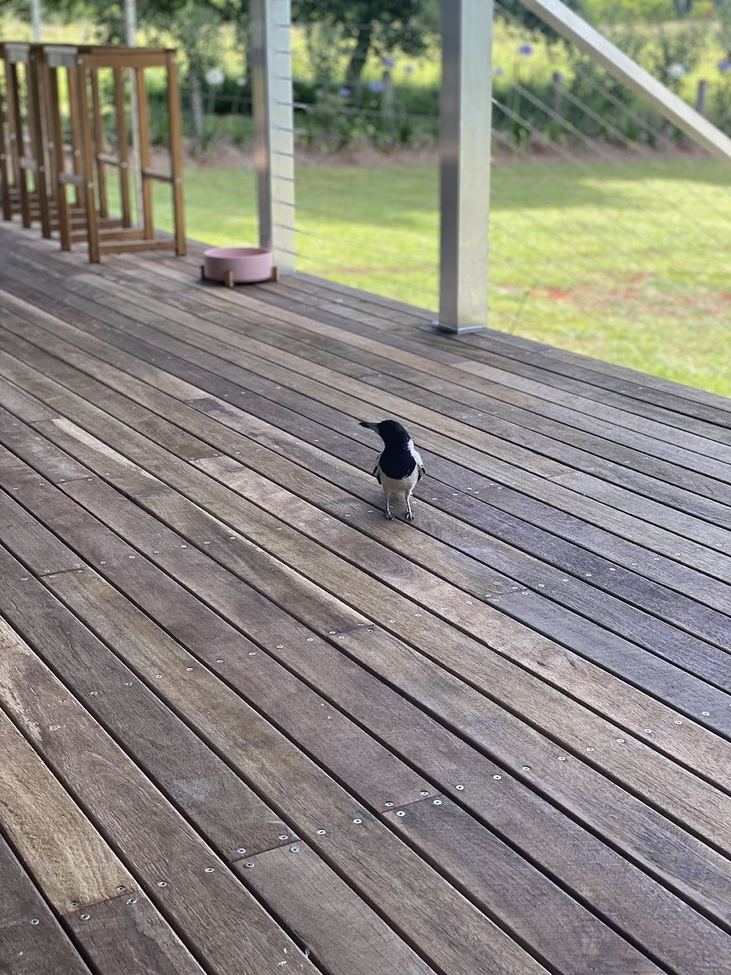 Forest Springs Cabin | 101 Forest Rd, Moorland NSW 2443, Australia | Phone: 0434 288 414