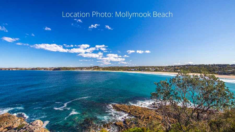Bella Coastal Property Milton | real estate agency | 1/105 Princes Hwy, Milton NSW 2538, Australia | 0244552002 OR +61 2 4455 2002
