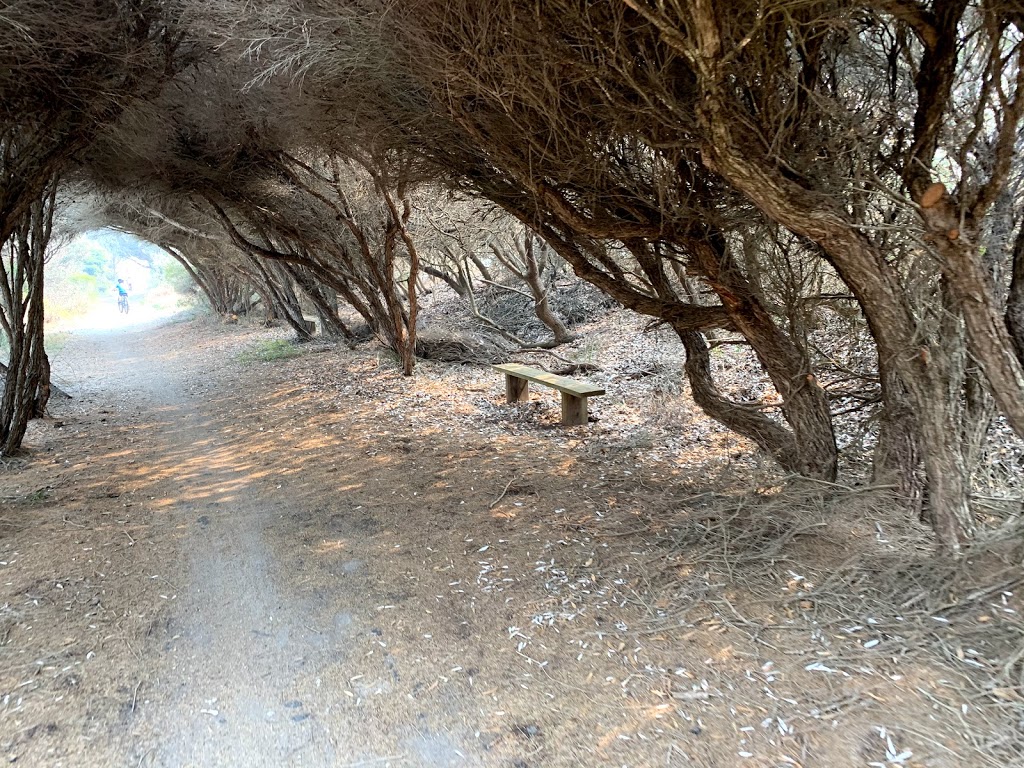 The Grotto | park | Tilba Rd, Bermagui NSW 2546, Australia