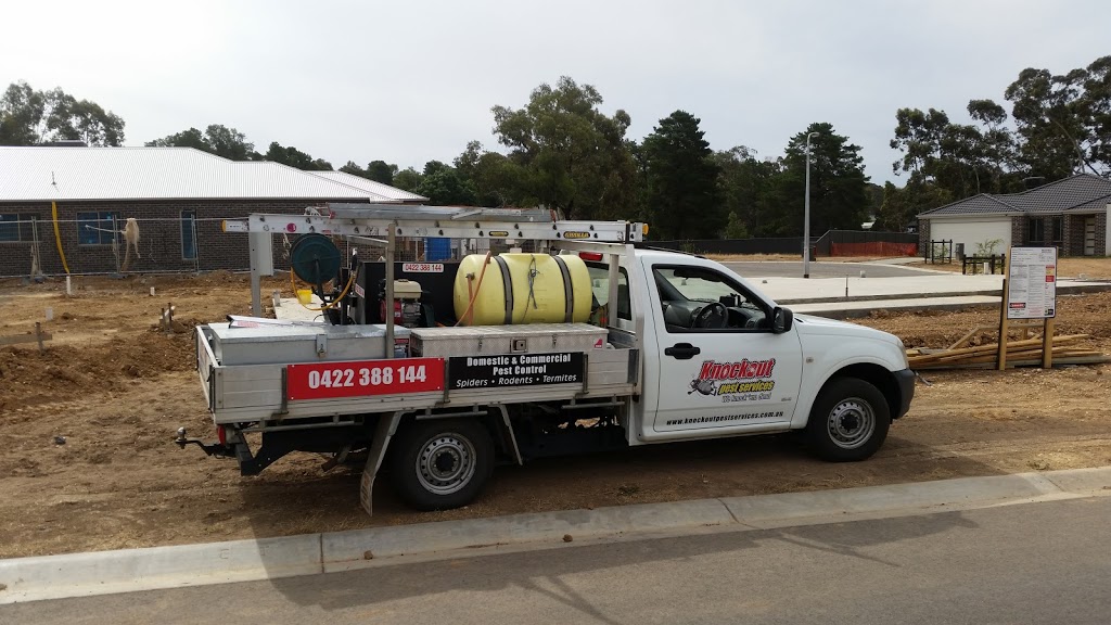 knockout Pest Services Termite and Building&Pest In Spections | home goods store | 16 Cambridge Cres, White Hills VIC 3550, Australia | 0422388144 OR +61 422 388 144