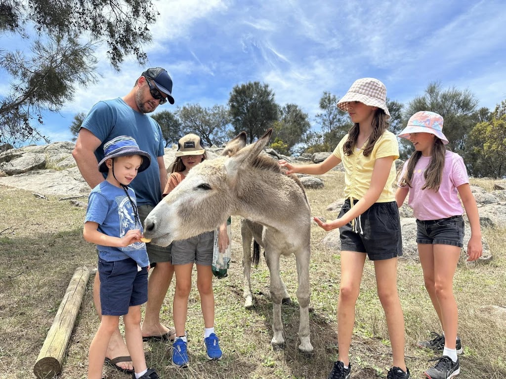 Pleasant Sense Farm | 736 Angas Valley Rd, Mount Pleasant SA 5235, Australia | Phone: 0448 557 329