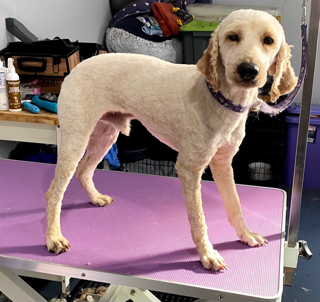 Hairy Hounds Dog Grooming Sanctuary Point | 23 Nirimba Ave, Sanctuary Point NSW 2540, Australia | Phone: 0422 109 343