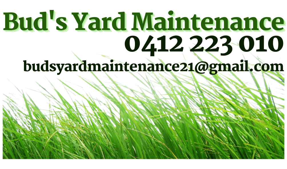Buds Yard Maintenance | general contractor | 100 Millchester Rd, Millchester QLD 4820, Australia | 0412223010 OR +61 412 223 010