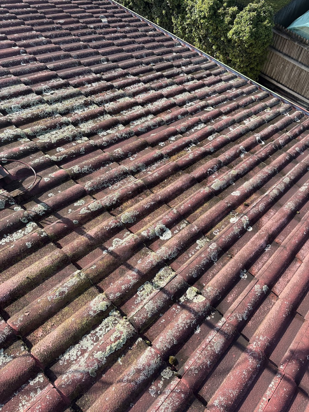 Rapid Jet Pressure Cleaning | 3 Scribbly Gum Pl, Mount Cotton QLD 4165, Australia | Phone: 0413 393 026