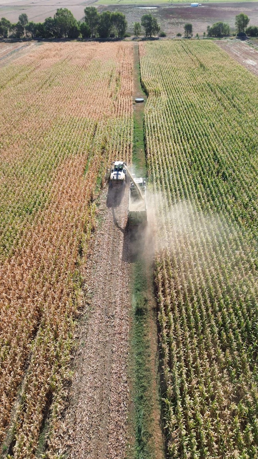 Kestle Harvesters | 251 Hunters Rd, Warragul South VIC 3821, Australia | Phone: 0499 113 522