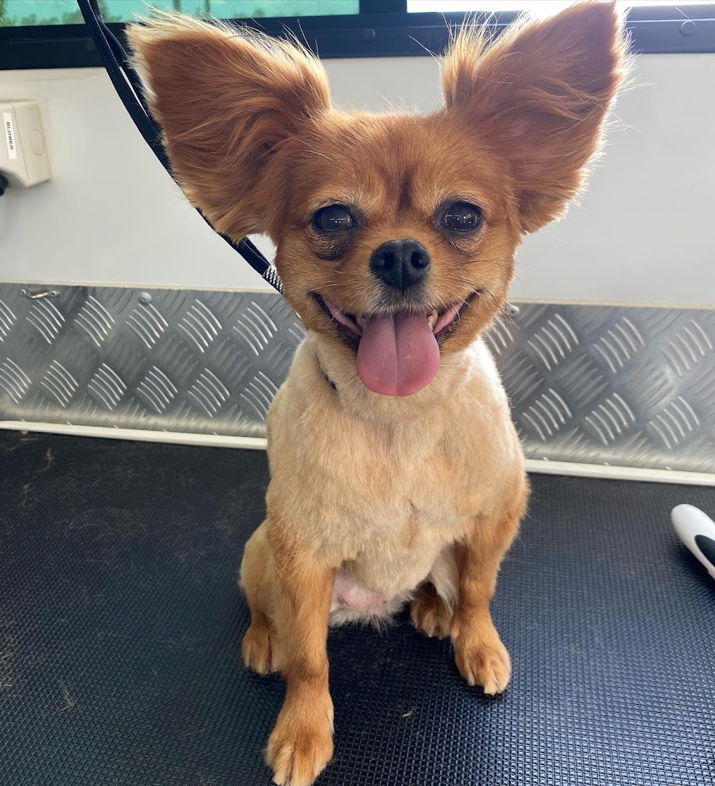 The Happy Groomer | 1 Cedar Vale Rd, Cedar Vale QLD 4285, Australia | Phone: 0412 770 213