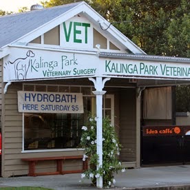 Kalinga Park Veterinary Surgery | 38 Shaw Rd, Wooloowin QLD 4030, Australia | Phone: (07) 3357 1588