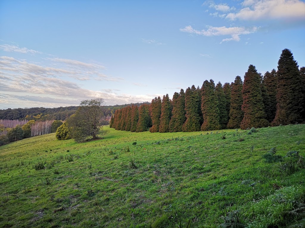 Walter Reserve | Port Melbourne VIC 3207, Australia