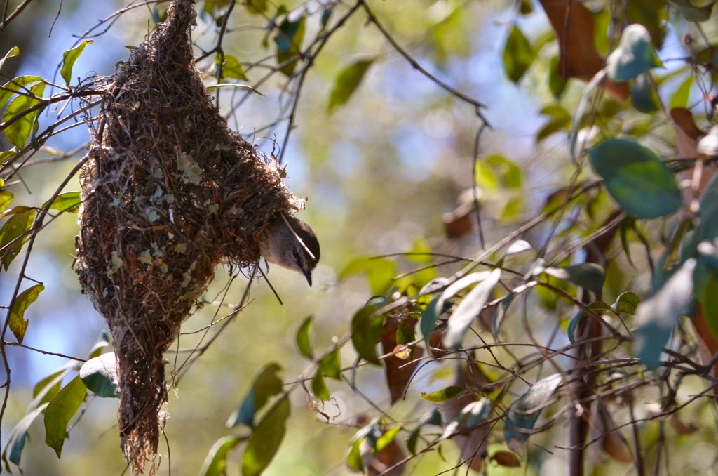 Brewongle Environmental Education Centre. | 587 Chapel Hill Rd, Sackville North NSW 2756, Australia | Phone: (02) 4579 1136