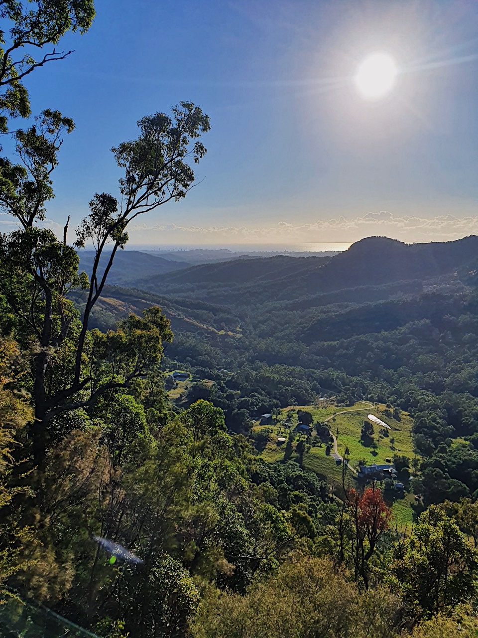 Jandarra Farm | 264 Petsch Creek Rd, Tallebudgera Valley QLD 4228, Australia | Phone: 0410 552 025