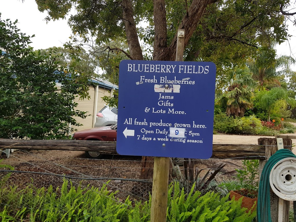 Blueberry Fields VIC |  | 21 The Eyrie, Bumberrah VIC 3902, Australia | 0351564495 OR +61 3 5156 4495
