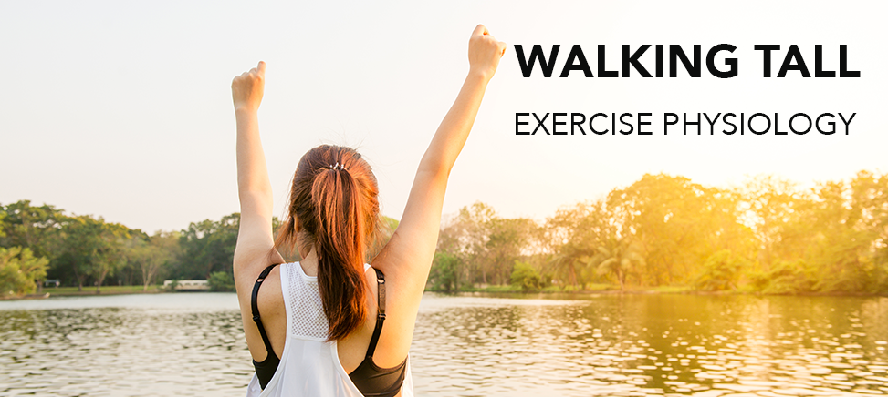 Walking Tall Exercise Physiology | 50 Ewart St, Malvern VIC 3144, Australia | Phone: 0423 923 585