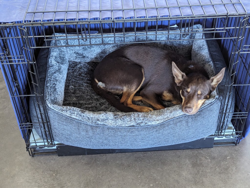Petstock Seymour | 65-71 Emily St, Seymour VIC 3660, Australia | Phone: (03) 5796 2285