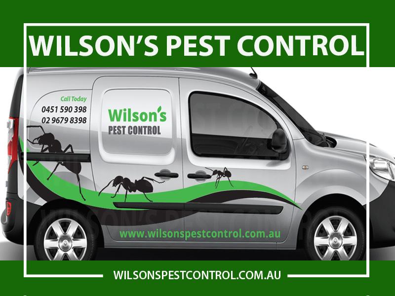 ✅Wilsons Pest Control Sydney | 252 Bungarribee Rd, Blacktown NSW 2148, Australia | Phone: 0451 590 398