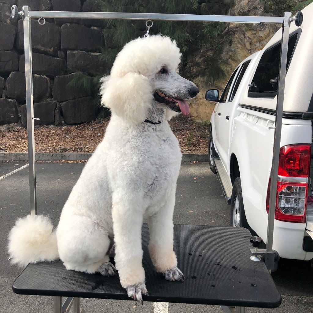 Groomingdales Pet Grooming Salon | 5/55 Hardys Rd, Mudgeeraba QLD 4213, Australia | Phone: (07) 5522 9966