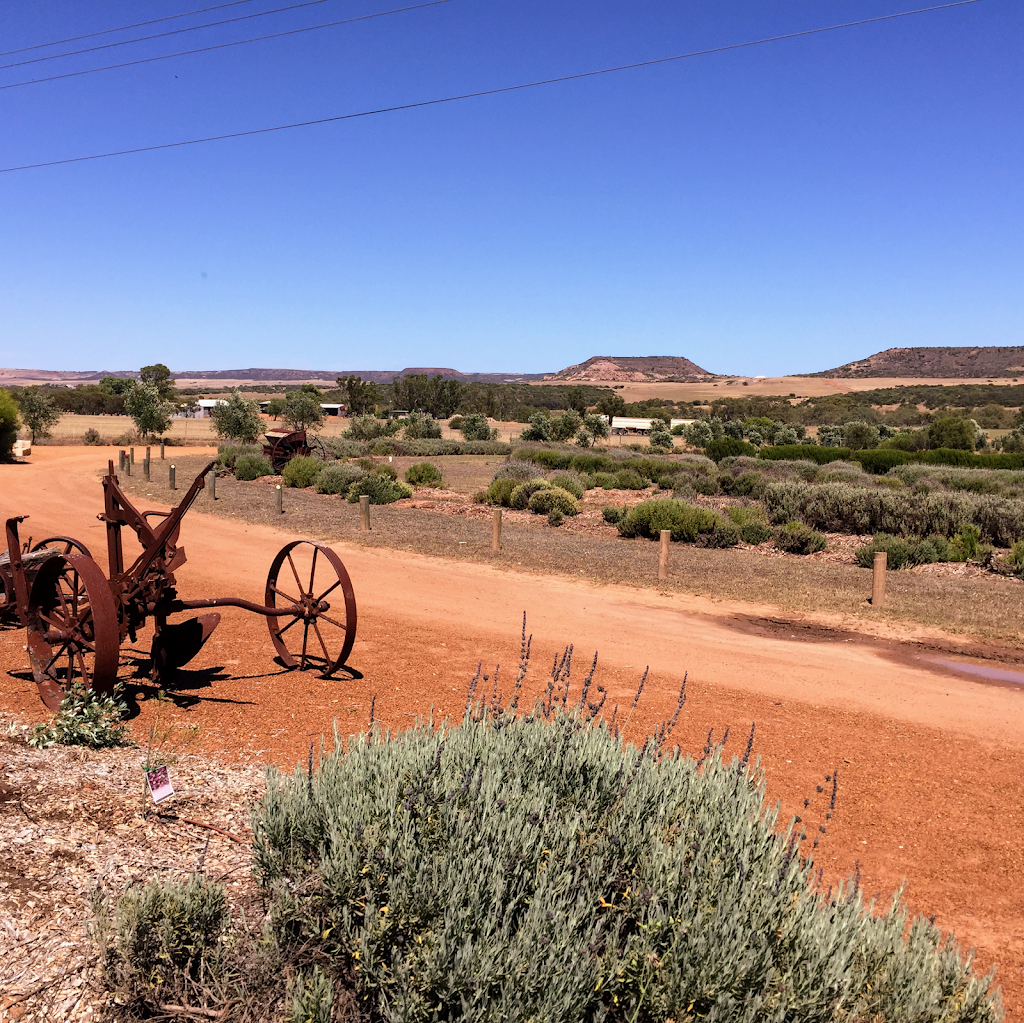 Copperhead Road Distillery | tourist attraction | Central Greenough Cafe, 71 McCartney Rd, Greenough WA 6532, Australia | 0499071602 OR +61 499 071 602