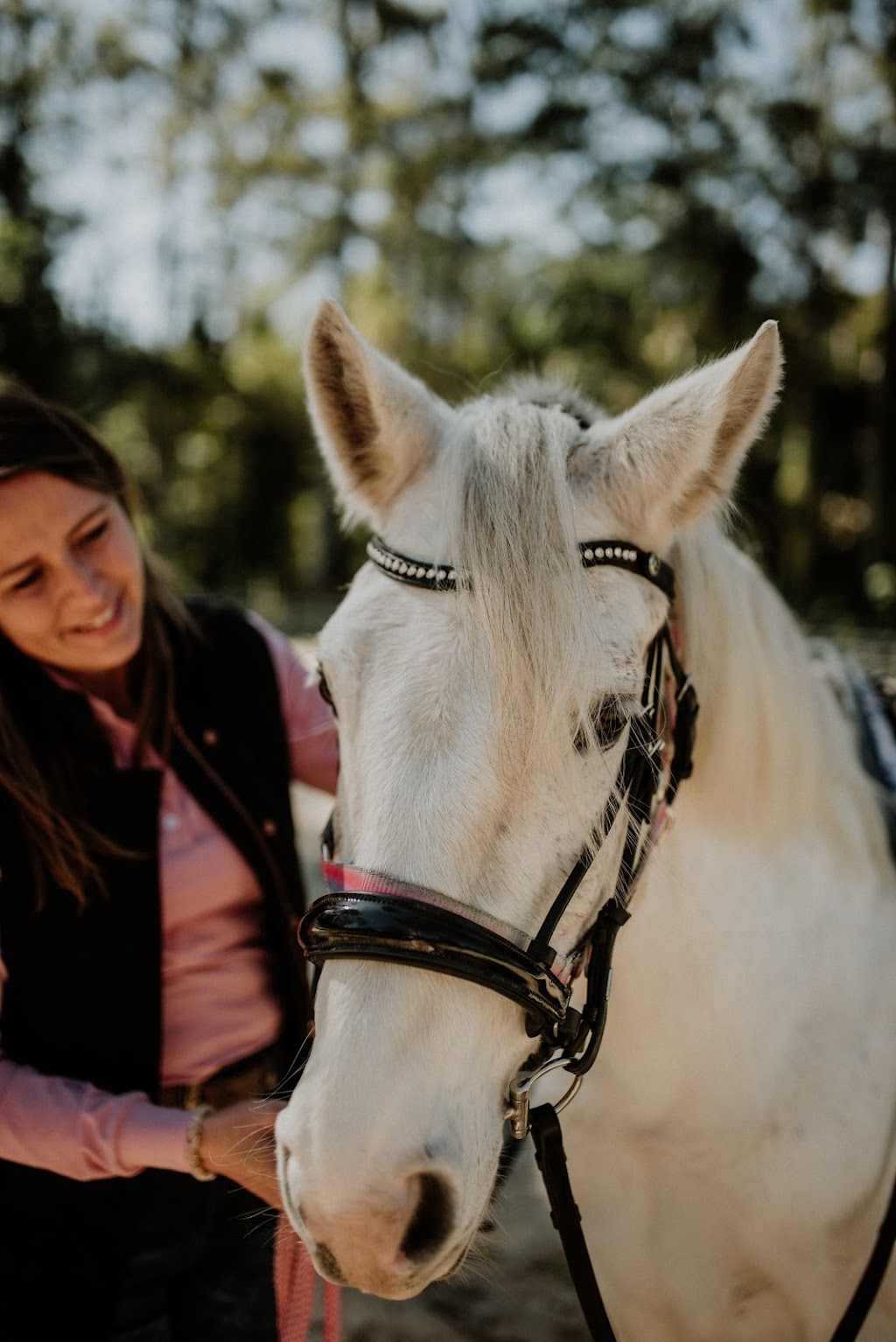 Gold Coast Equine Sanctuary | 25 Lanes Rd, Wongawallan QLD 4210, Australia | Phone: 0432 660 577