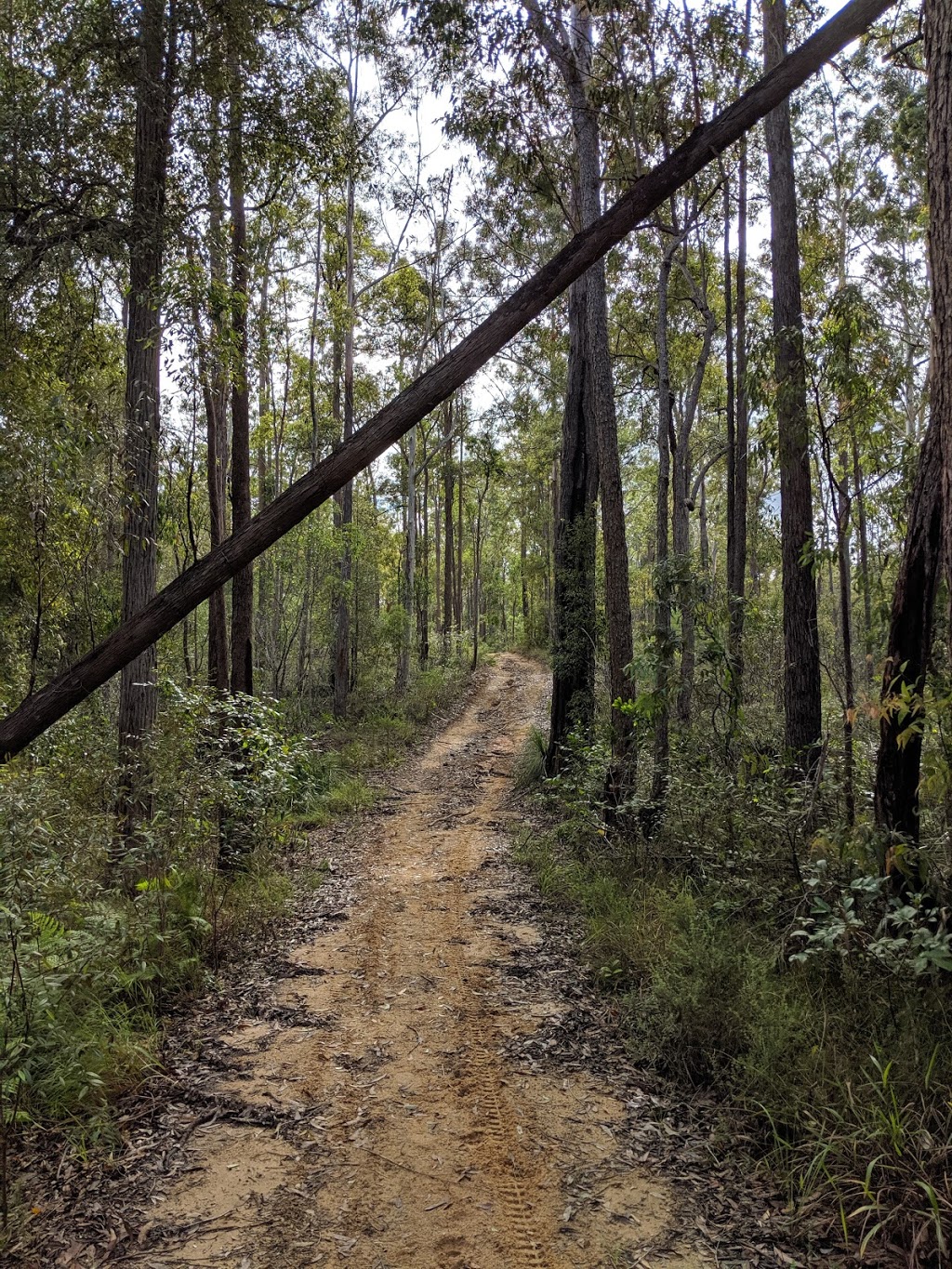 Bracalba Running Trails Carpark | park | 500 McConnell Rd, Woodford QLD 4514, Australia