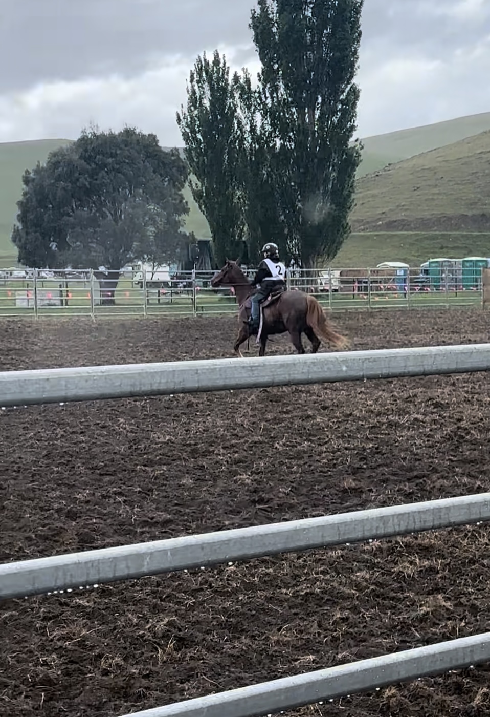 Gippsland Stockyards | Bengworden Rd, Perry Bridge VIC 3862, Australia | Phone: 0400 665 492