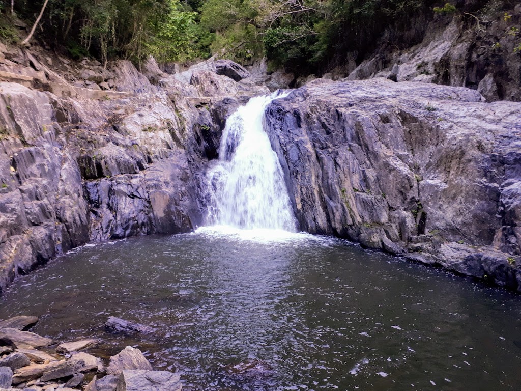 Davies Creek National Park and Dinden National Park | Davies Creek Rd, Mareeba QLD 4880, Australia | Phone: 13 74 68