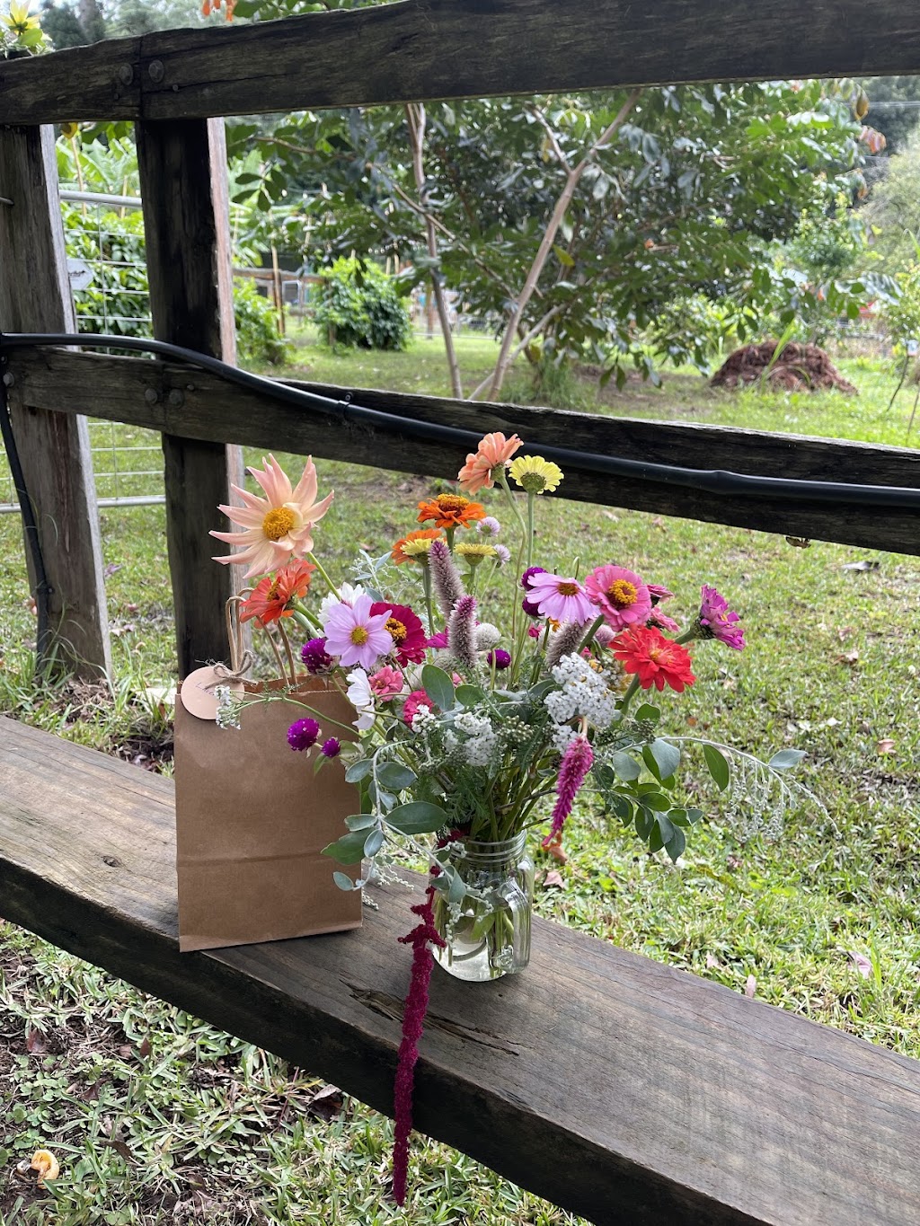 Weeping Willow Farm | Palmdale Rd, Palmdale NSW 2258, Australia | Phone: 0494 382 283