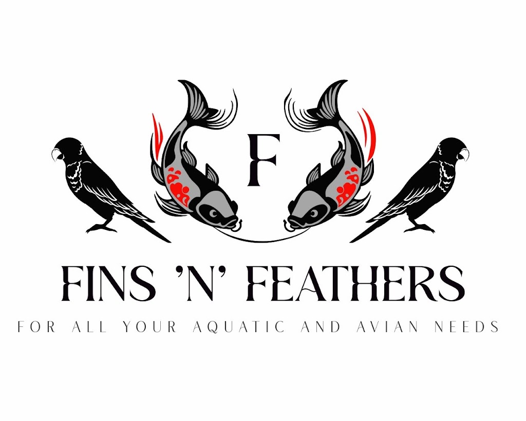 Fins N Feathers | 142 Edmond St, Marburg QLD 4346, Australia | Phone: 0477 722 570
