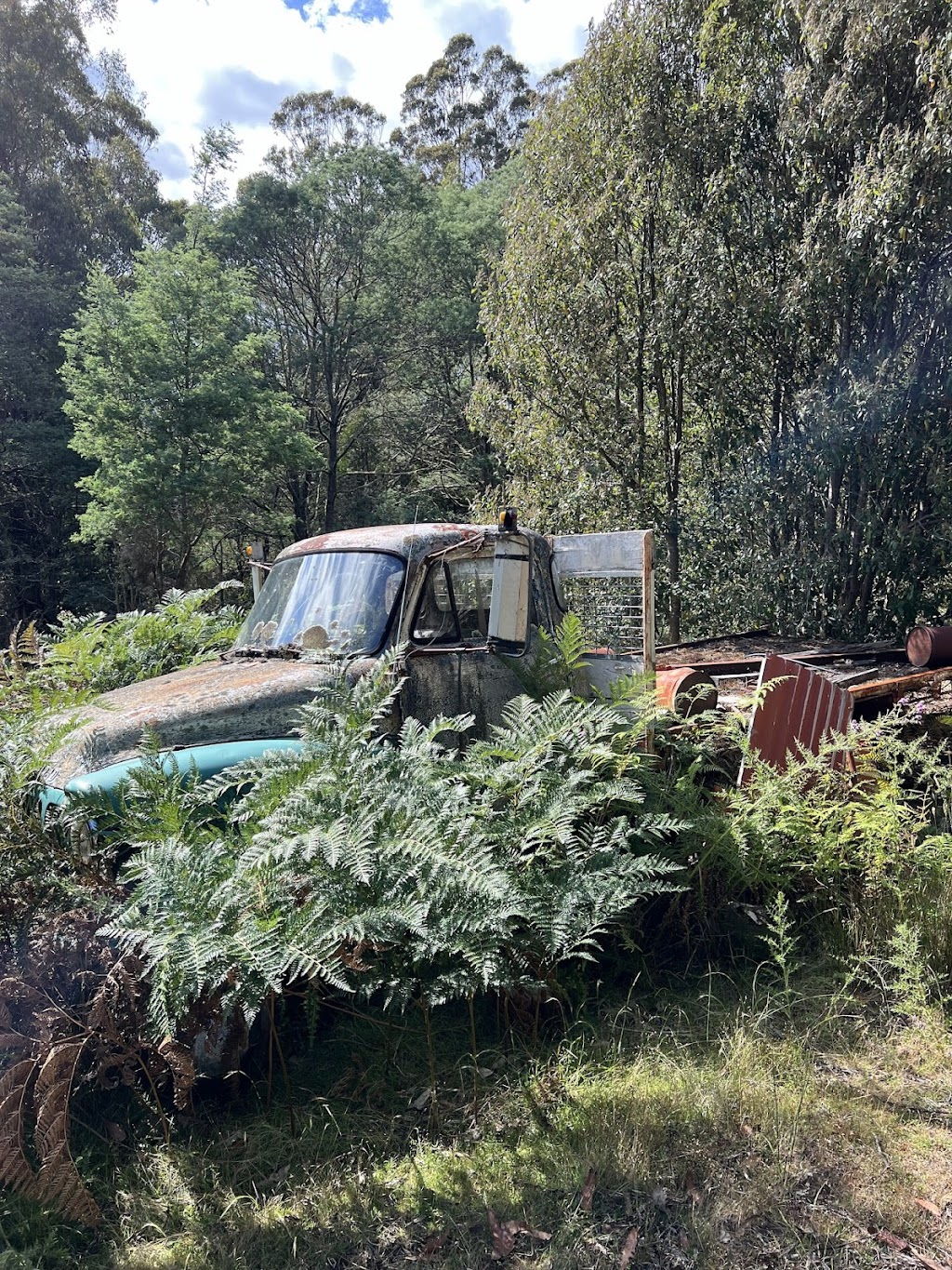 Judbury Bush Retreats | 189 Forest Hill Rd, Judbury TAS 7109, Australia | Phone: 0432 391 504