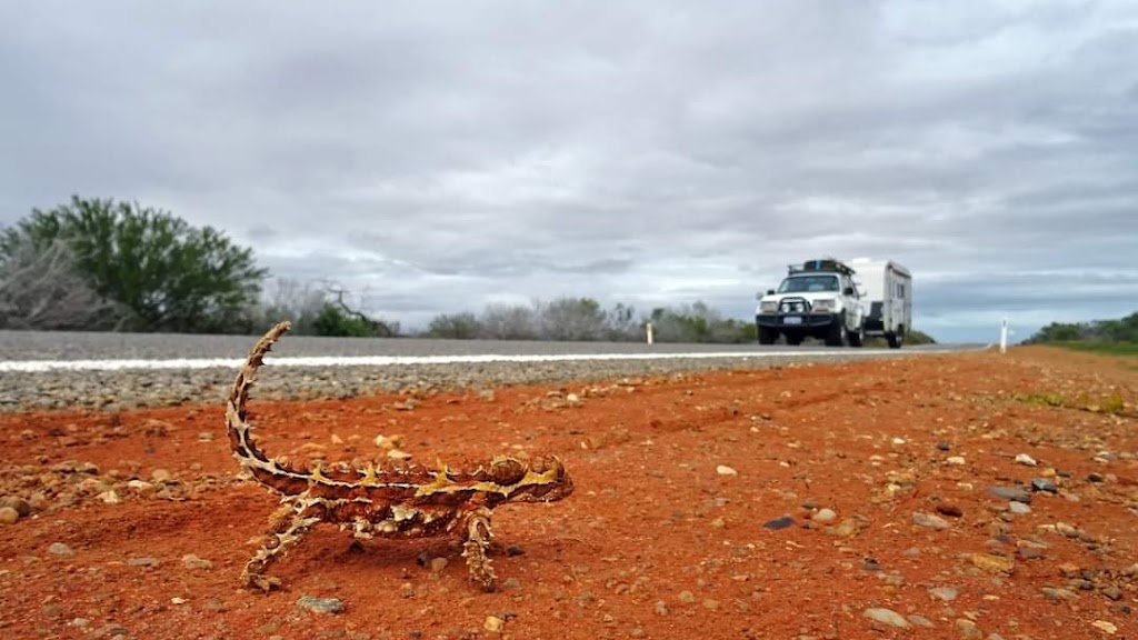 Mobile Weight Check - Vehicle and Caravan Weighing | 9 Reiners Rd, Samford Valley QLD 4520, Australia | Phone: 0411 645 998