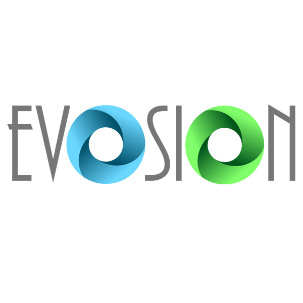 Evosion - Digital Marketing & Web Development |  | 14 Sorghum St, Denham Court NSW 2565, Australia | 1300343483 OR +61 1300 343 483
