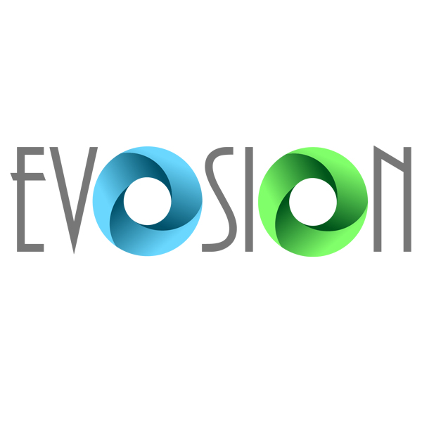 Evosion - Digital Marketing & Web Development | 14 Sorghum St, Denham Court NSW 2565, Australia | Phone: 1300 343 483