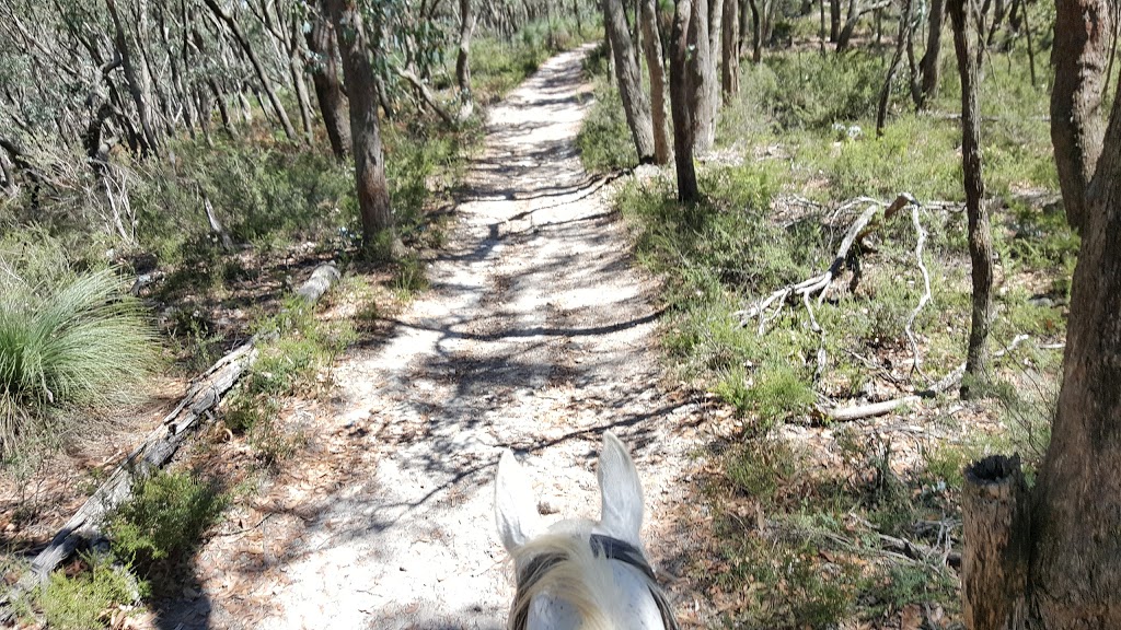 Doran Park Trail Rides |  | Mt Doran-Egerton Rd, Mount Doran VIC 3334, Australia | 0353415588 OR +61 3 5341 5588