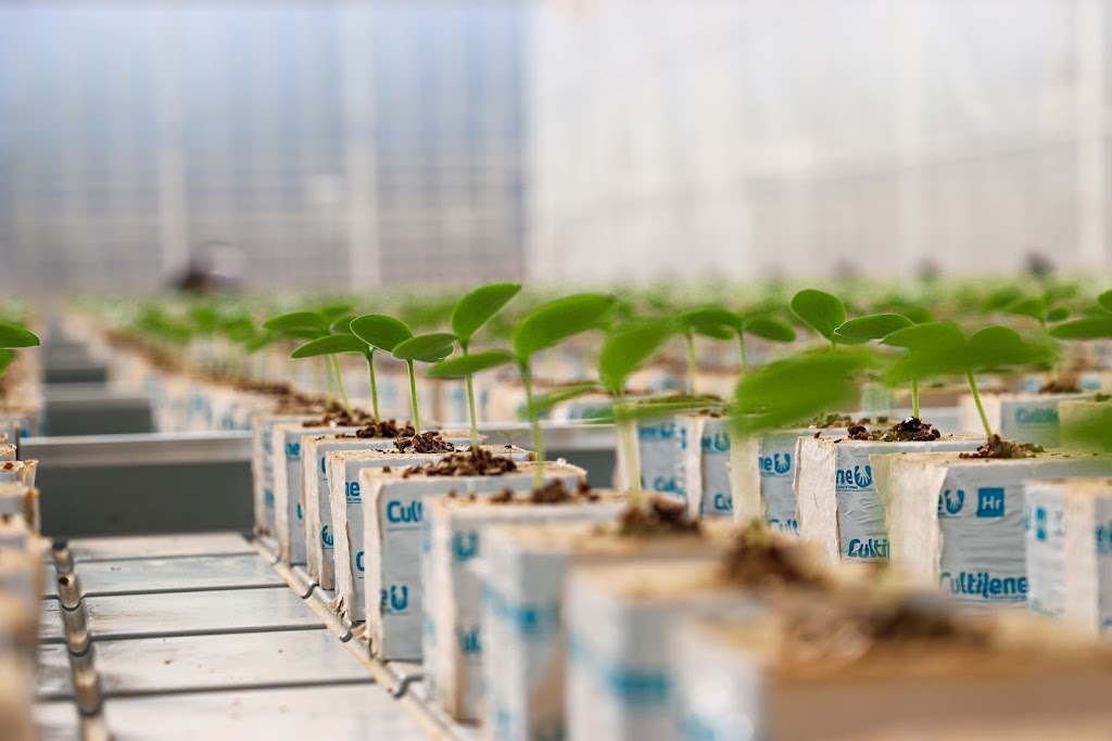Provenance Propagation Australia Pty Ltd | 77 Parker Rd, Wells Crossing NSW 2460, Australia | Phone: 1300 677 193