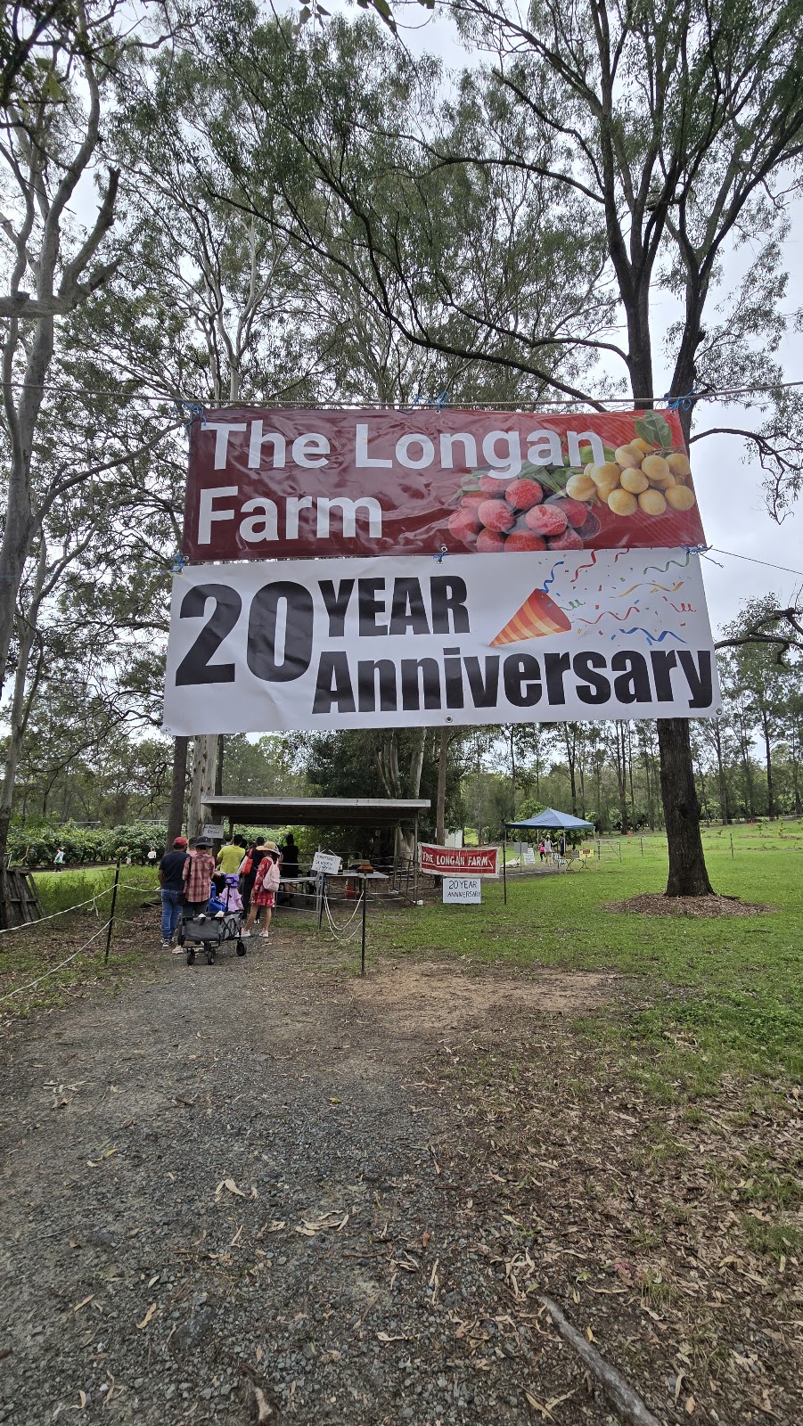 The Longan Farm | 359 Raynbird Rd, Narangba QLD 4504, Australia | Phone: 0482 978 053