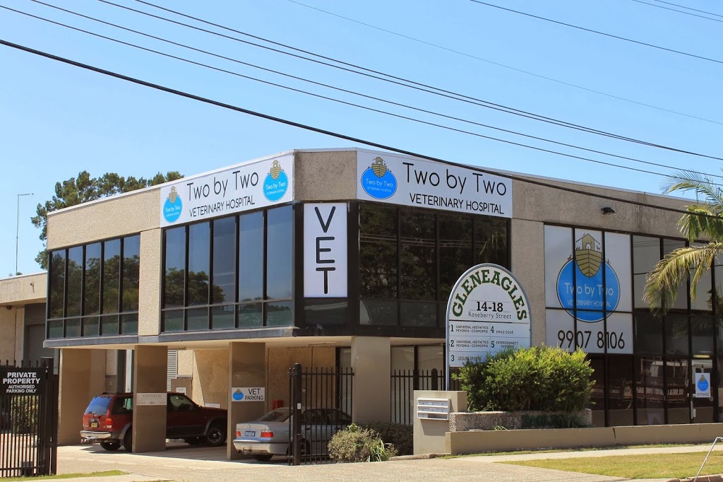Two by Two Veterinary Hospital | veterinary care | 1/14 Roseberry St, Balgowlah NSW 2093, Australia | 0299078106 OR +61 2 9907 8106