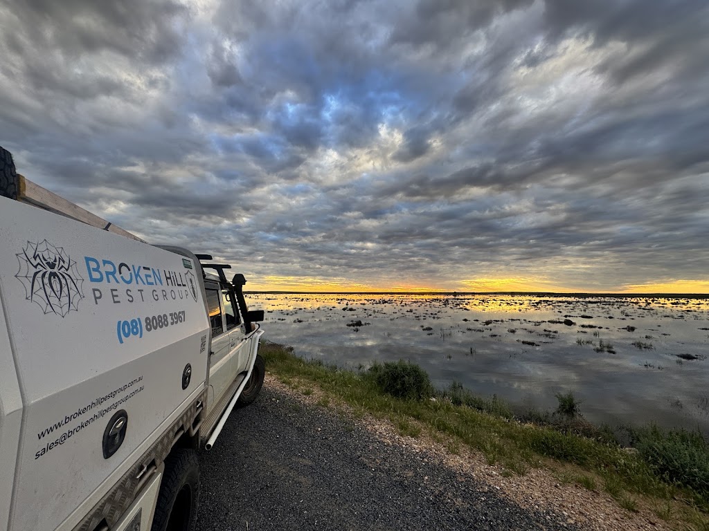 Broken Hill Pest Group | 333 Wyman St, Broken Hill NSW 2880, Australia | Phone: (08) 8088 3967