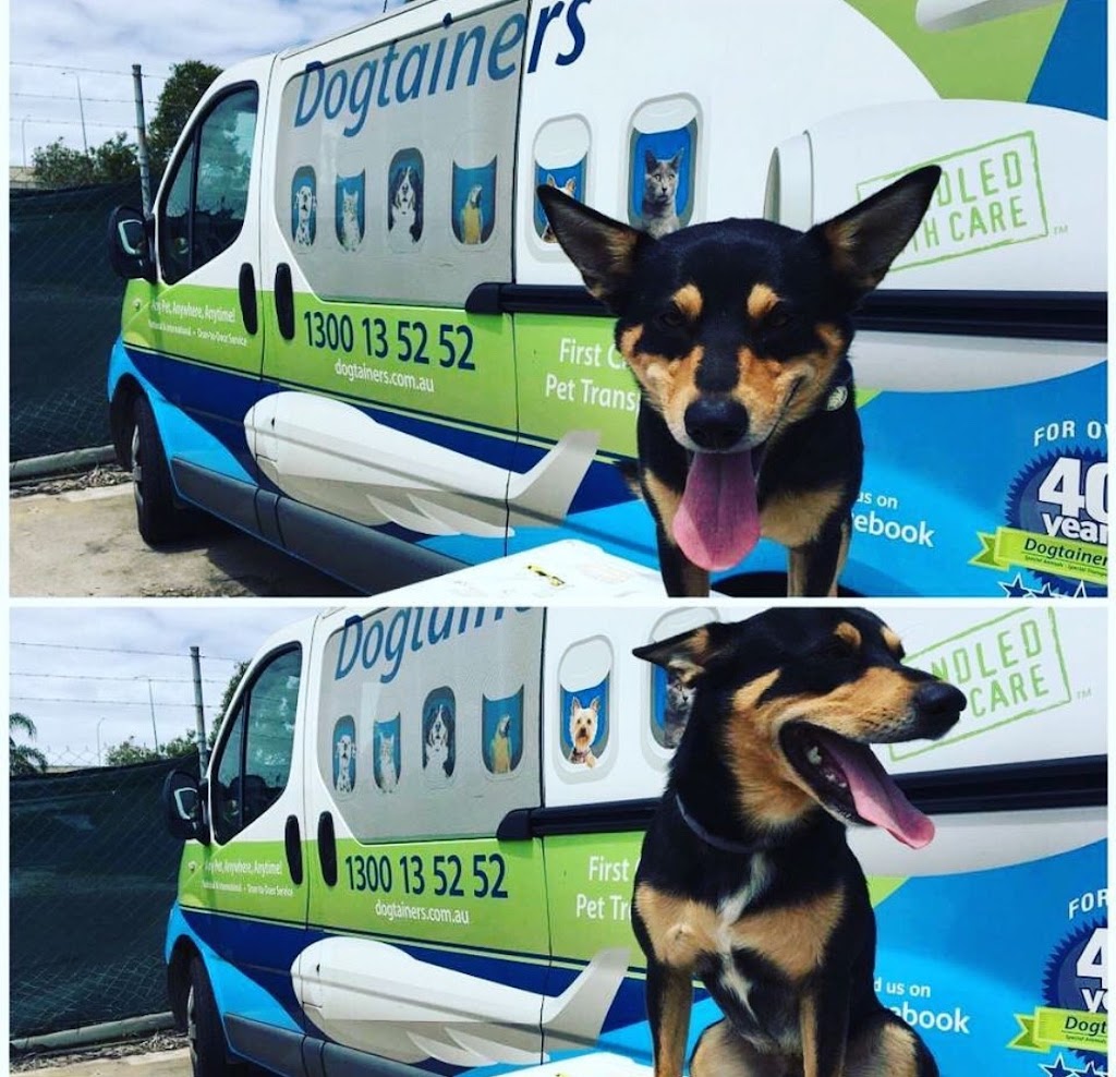 Dogtainers Hobart |  | 2944 S Arm Rd, South Arm TAS 7022, Australia | 1300135252 OR +61 1300 135 252