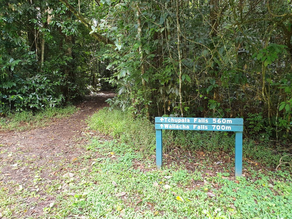 Wallicher Falls | tourist attraction | Palmerston Hwy, Wooroonooran QLD 4860, Australia | 137468 OR +61 137468