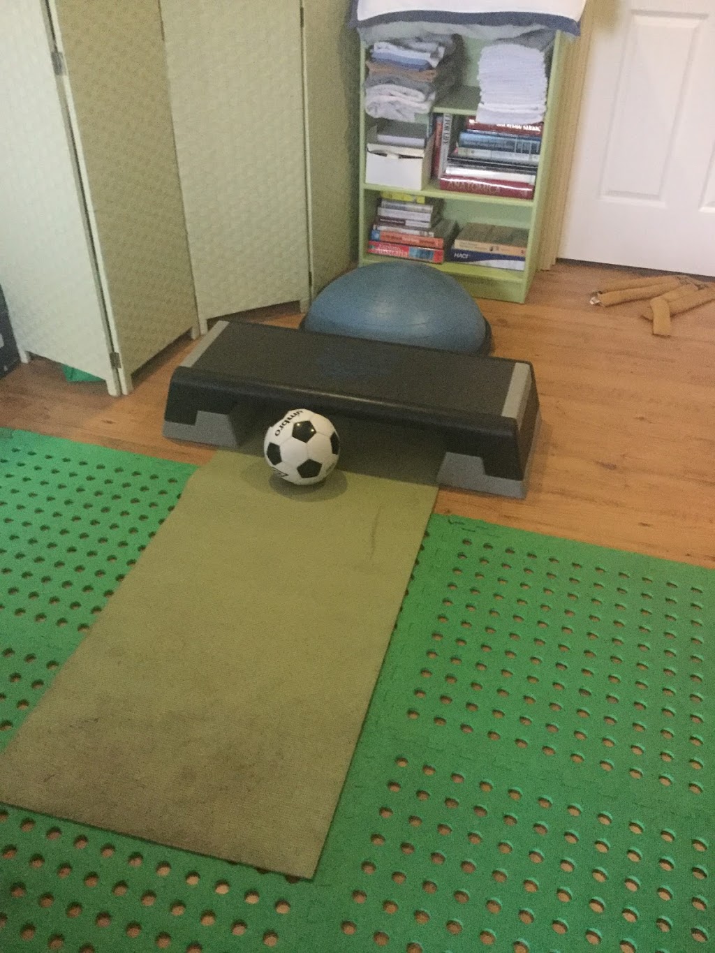 BodyAssist Sports Health (Remedial and Sports Massage) | 31 Orwell St, Brisbane City QLD 4152, Australia | Phone: 0432 843 869