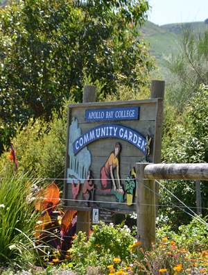 Apollo Bay Community Garden | Apollo Bay VIC 3233, Australia | Phone: 0402 474 375